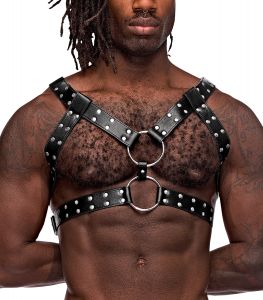 Male Power Leather Gemini Harness 591-266 Black