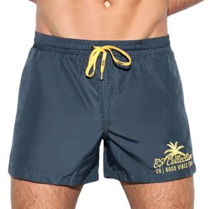 ES Collection Basic Boardshort 1922 Charcoal