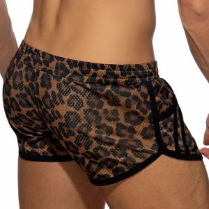 Addicted Leopard Mesh Rocky AD1138 Brown