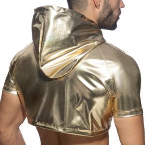 Addicted Crop Top AD1170 Gold