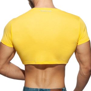 Addicted AD Crop Top AD819 Yellow