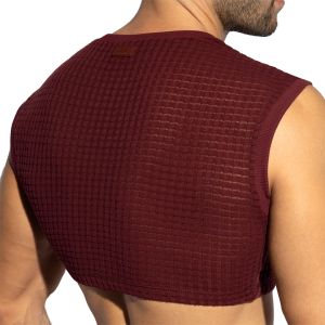 ES Collection Checkmate Midriff Crop Top TS342 Garnet