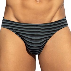 ES Collection Grey Stripes Bikini Brief UN613 Black