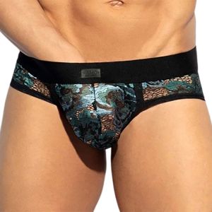 ES Collection Botanic Garden Brief UN632 Black